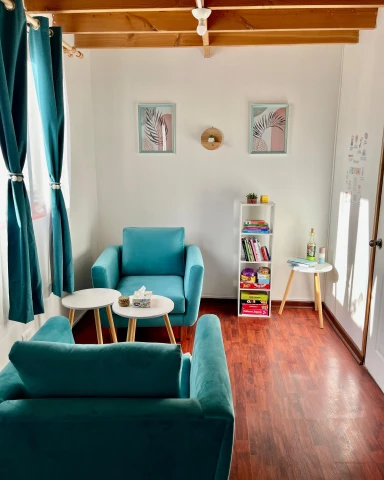 Una vista frontal de dos sillones de color verde azulado, uno frente al otro, con mesas auxiliares redondas entre ellos. Se observa una estantería blanca con libros y objetos decorativos, y la pared está adornada con cuadros y una pequeña repisa.